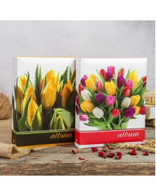 Ф/Альбом IA-200 фото PP Серия 005 Цветы (12) .. Ф/Альбом IA-200 фото PP Серия 005 Цветы (12) ..