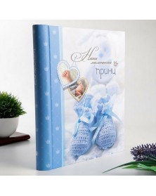 Ф/Альбом  IA  SA-20-P Магн.листов (23*28)  Серия 241                    (12..