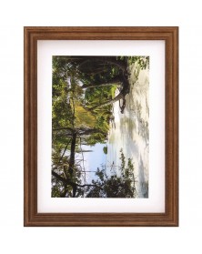 Ф/рамка   15*20 (3N68) Орех                                ( 24)