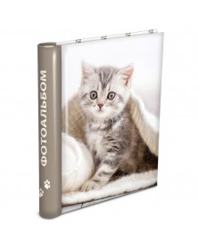 Ф/Альбом  Pioneer  (64476)  SA-30 Магн.листов (23*28) Puppies And Kittens(1..