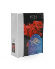 Ф/Альбом  BD  (46229)  100 ф  BWC Bouquet                          (24)..