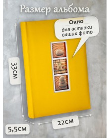 Ф/альбом ЯМ 300 ф.FA-EBBM300 - 810, кн.пер, иск.кожа, отдых              (1..