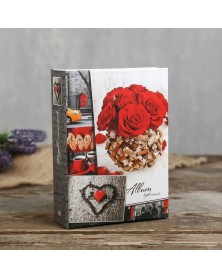 Ф/Альбом  IA-100 фото  10*15         Серия 250                             ..