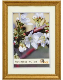 ФотоРамка Пластик MR 15*21 (1017-1159-26)                                  ..