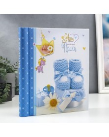 Ф/Альбом  IA  SA-10-P Магн.листов (23*28)  Серия 324                    (12..