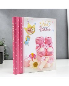 Ф/Альбом  IA  SA-10-P Магн.листов (23*28)  Серия 325                    (12..