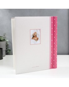 Ф/Альбом IA SA-10-P Магн.листов (23*28) Серия 325 (12.. Ф/Альбом IA SA-10-P Магн.листов (23*28) Серия 325 (12..