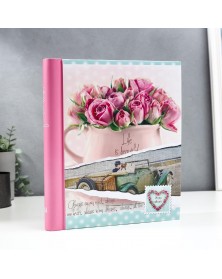 Ф/Альбом IA SA-20-P Магн.листов (23*28) Серия 318 (12.. Ф/Альбом IA SA-20-P Магн.листов (23*28) Серия 318 (12..