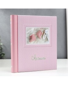 Ф/Альбом  IA  SA-20-P Магн.листов (23*28)  Серия 326                    (12..