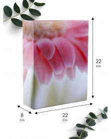 Ф/Альбом Pioneer (91482) 304 фото, 2 ф.на стр. Golden Bug 2 .. Ф/Альбом Pioneer (91482) 304 фото, 2 ф.на стр. Golden Bug 2 ..