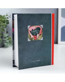 Ф/Альбом IA-100 фото 10*15 Серия 356 .. Ф/Альбом IA-100 фото 10*15 Серия 356 ..