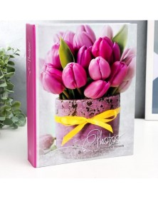 Ф/Альбом  IA-100 фото  10*15         Серия 317    Цветы    (24) ..