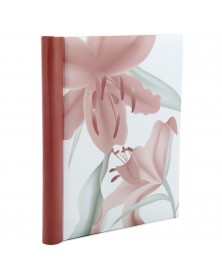 Ф/Альбом  Pioneer  (118070)  SA-30 Магн.листов (23*28)  Fleur-de-lis      (..