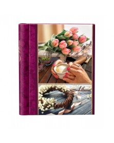 Ф/Альбом IA SA-10-P Магн.листов (23*28) Серия 323 Цветы .. Ф/Альбом IA SA-10-P Магн.листов (23*28) Серия 323 Цветы ..