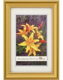 ФотоРамка Пластик MR 10*15 (1017-1056)                                     ..
