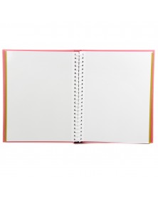 Ф/Альбом  Pioneer  (118065)  SA-30 Магн.листов (23*28)  Fleur-de-lis      (..