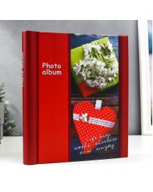 Ф/Альбом  IA  SA-30-P Магн.листов (23*28)  Серия 335                    (12..