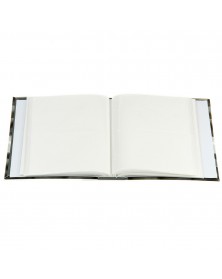 Ф/Альбом  Pioneer  (120010)  100 ф Stones                      (24)