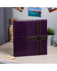 Ф/Альбом IA-PB500/5 Серия 116 Классический с кармашками, клепки 50 листов.. Ф/Альбом IA-PB500/5 Серия 116 Классический с кармашками, клепки 50 листов..