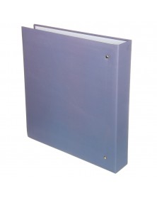 Ф/Альбом Pioneer (131676) 400 ф 10*15см, ПП карм, пер-т 3-кольца, Цветы.. Ф/Альбом Pioneer (131676) 400 ф 10*15см, ПП карм, пер-т 3-кольца, Цветы..