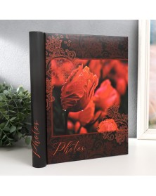 Ф/Альбом  PL - 003-1  SA-20 Магн.листов, внутр. спираль  (23*28)  Bloom, Тю..