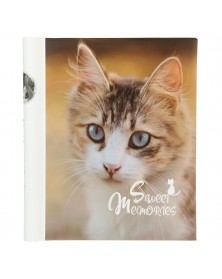 Ф/Альбом Pioneer (122560) SA-10 Магн.листов (23*28) Животные .. Ф/Альбом Pioneer (122560) SA-10 Магн.листов (23*28) Животные ..