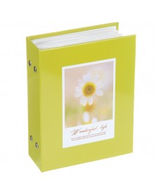 Ф/Альбом  Pioneer  (134221)  100 ф Цветы                      (24)..