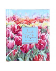 Ф/Альбом Pioneer (134357) SA-20 Магн.листов (23*28) Цветы .. Ф/Альбом Pioneer (134357) SA-20 Магн.листов (23*28) Цветы ..