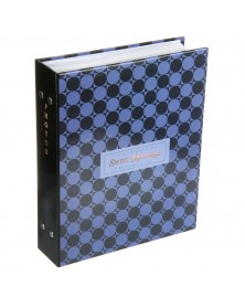 Ф/Альбом  Pioneer  (134261)  200 ф  Классический                        (12..