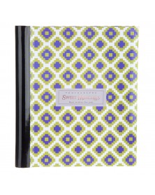 Ф/Альбом  Pioneer  (134393)  SA-30 Магн.листов (23*28)  Классический     (1..