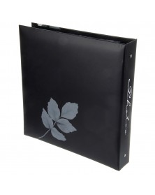 Ф/Альбом Pioneer (134814) 500 ф 10*15см, ПП карм, пер-т 3-кольца, Цветы.. Ф/Альбом Pioneer (134814) 500 ф 10*15см, ПП карм, пер-т 3-кольца, Цветы..