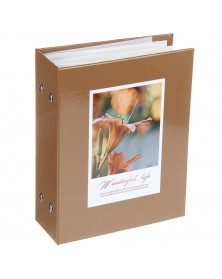 Ф/Альбом  Pioneer  (134223)  100 ф Цветы     (24)..