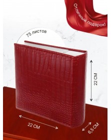 Ф/Альбом  Pioneer  (134289) 300 фото, 2 ф.на стр. Книжный переплёт, Мemo  L..