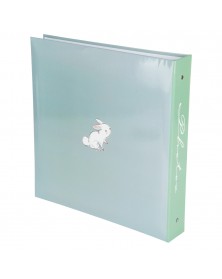 Ф/Альбом  Pioneer  (136084)  500 ф  10*15см, ПП карм, пер-т 3-кольца, Детск..