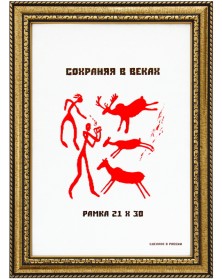 ФотоРамка MN 786 21*30 пластик (Золото) 3 см Золото (25) double.. ФотоРамка MN 786 21*30 пластик (Золото) 3 см Золото (25) double..