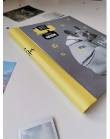 Ф/Альбом  PL - 005-4  SA-10 Магн.листов, внутр. спираль  (23*28)  fluffy pe..