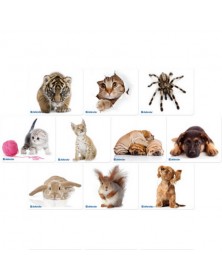 Коврик DEFENDER Silk                    230*190*1,6mm (Ассортимент 10 Видов..